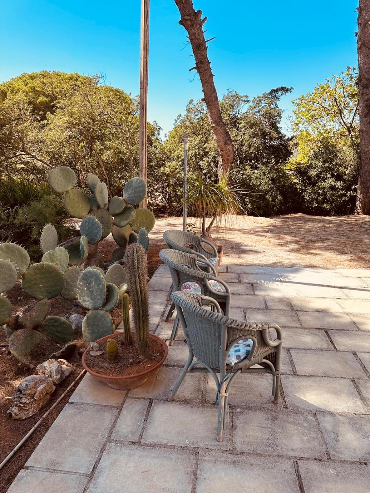 Casa Vacanze Capurre "Trulli E Pajare A Due Passi Dal Pizzo" Галлиполи Экстерьер фото